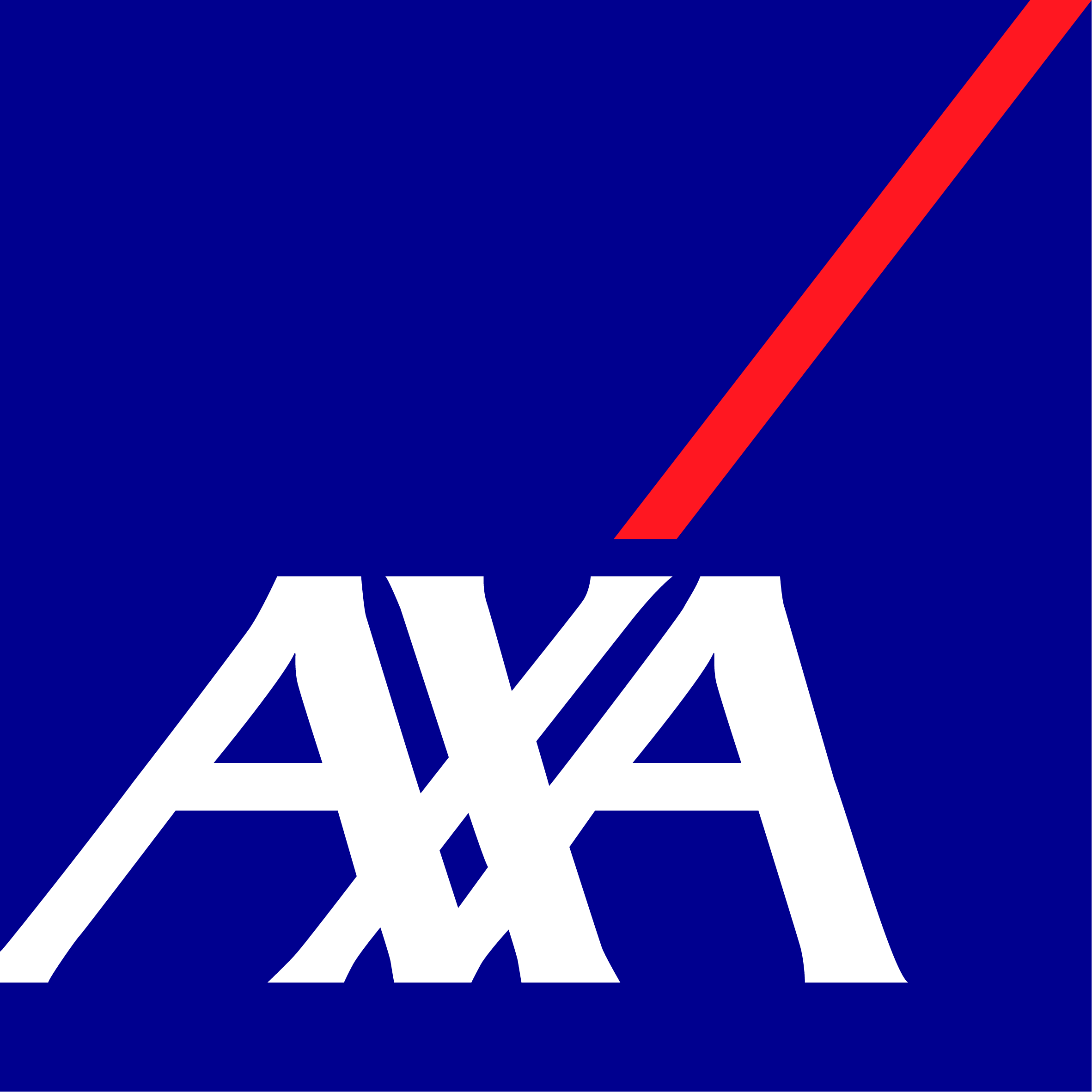 PARTNER logo